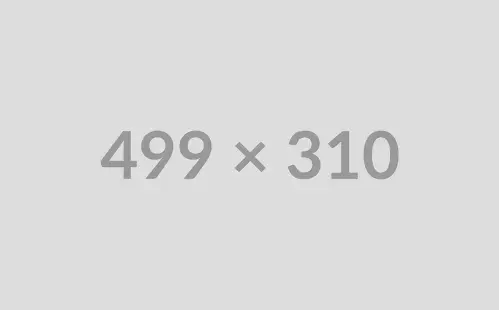 UI/UX Design